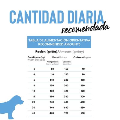Dibaq Sense Grain Free Salmón y Pavo Cachorro 12Kg