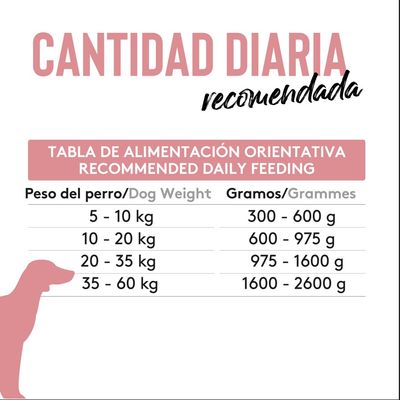 Dibaq Sense - Aliment humide chien - Agneau sans céréales