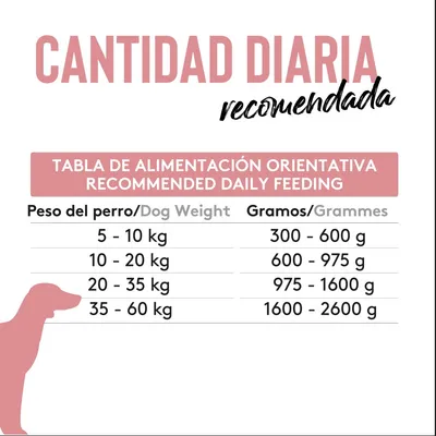 Dibaq Sense Cordero