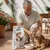 Dibaq Sense sans grain Sauvage croquette pour chien