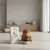 Dibaq Sense sans grain Lapin croquette pour chien