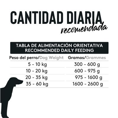 Dibaq Sense Cochinillo de Segovia