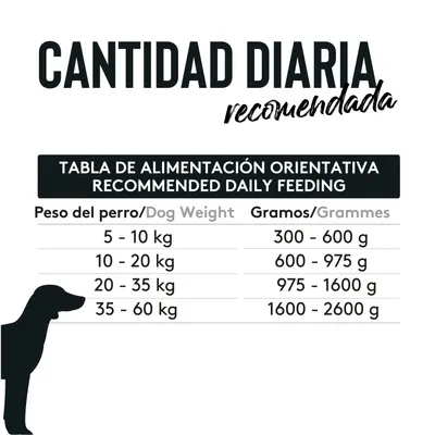 Dibaq Sense Cochinillo de Segovia