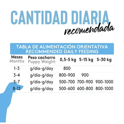 Dibaq Sense Salmón y Pavo Cachorros Dibaq Sense Salmón y Pavo Cachorros