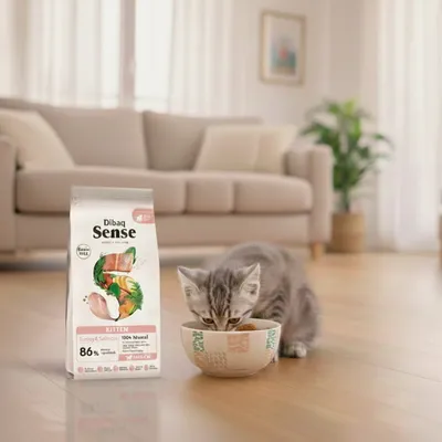 Dibaq Sense Grain Free Gatito