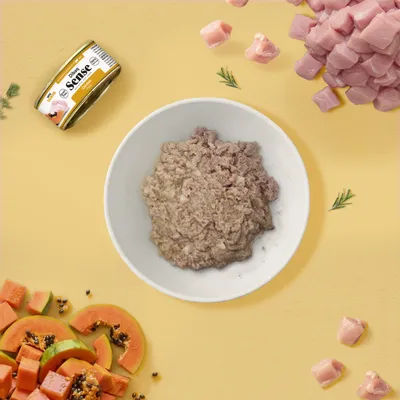Dibaq Sense - Boîte pour Chat - Poulet Papaye