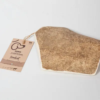 Evident Bois de Daim Evident Bois de Daim