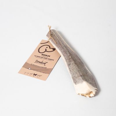 Evident Bois de Cerf Biseau Taille L