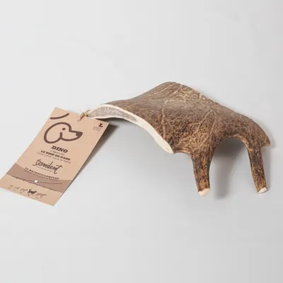 Evident Bois de Daim