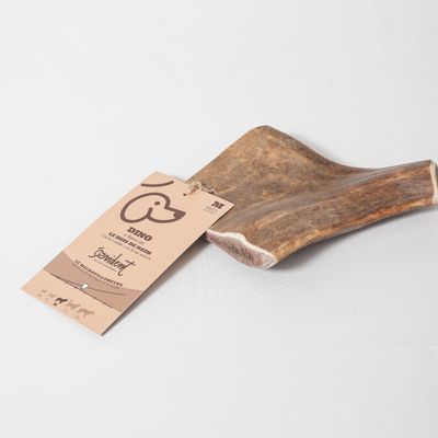 Evident Bois de Daim Taille M