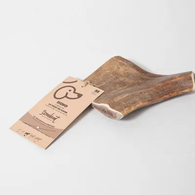 Evident Bois de Daim