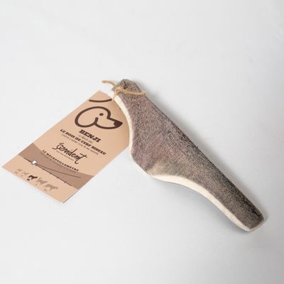 Evident Bois de Cerf Biseau Taille M