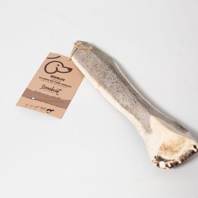 Evident Bois de Cerf Biseau Taille XL