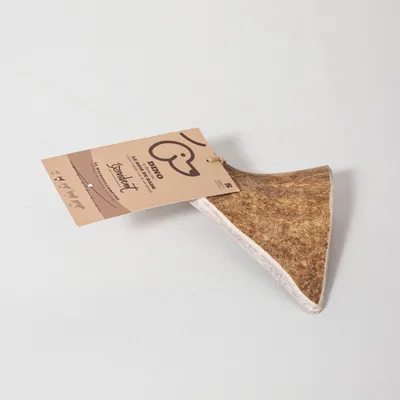 Evident Bois de Daim