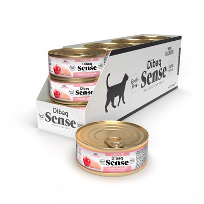Dibaq Sense Chat Kitten