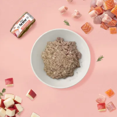 Dibaq Sense Pollo con Salmón pack 12 uds x 70 gr