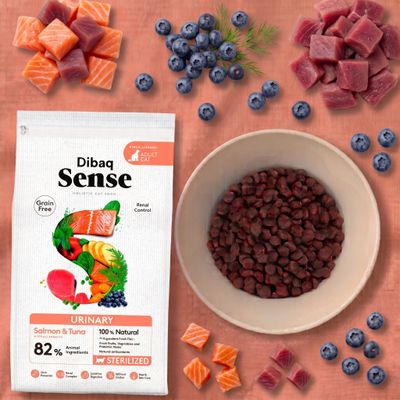 Dibaq Sense sans grain Chat Urinaire alimentation sèche pour chats
