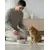 Dibaq Sense Cat Esterilizado Pavo con Calabaza pack 12 uds x 70 gr Dibaq Sense Cat Esterilizado Pavo con Calabaza pack 12 uds x 70 gr