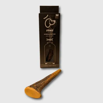 Evident Bois De Cerf Entier Fumé