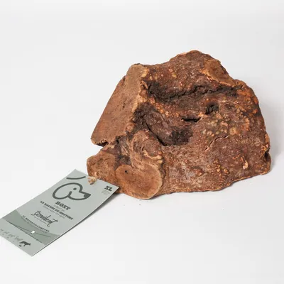 Evident Racine de Bruyère