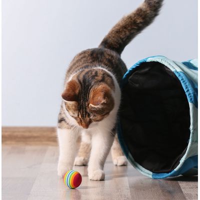 KATER KASIMIR Spray pour chats