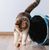 KATER KASIMIR Spray pour chats