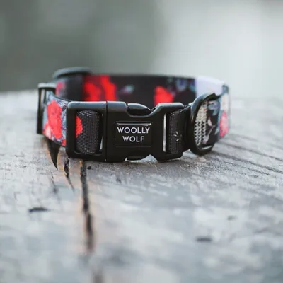 Woolly Wolf Collier Wild Rose