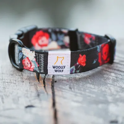 Woolly Wolf Collier Wild Rose