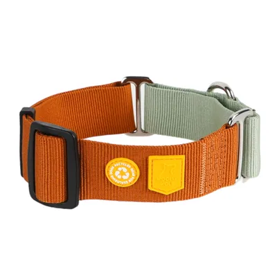 Woolly Wolf Collier Color Block Martingale Terracotta Mix Woolly Wolf Collier Color Block Martingale Terracotta Mix