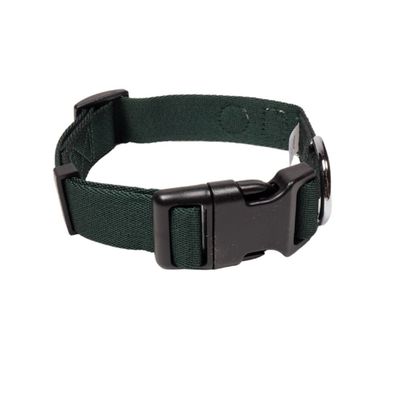 Woolly Wolf Collier Evergreen