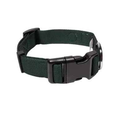 Woolly Wolf Collier Evergreen