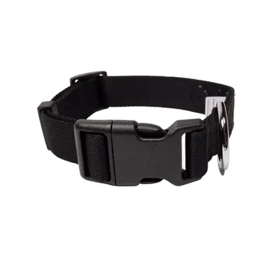 Woolly Wolf Collier Raven Black