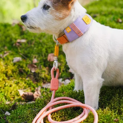 Woolly Wolf Collier Alpha 360 Lavendermix