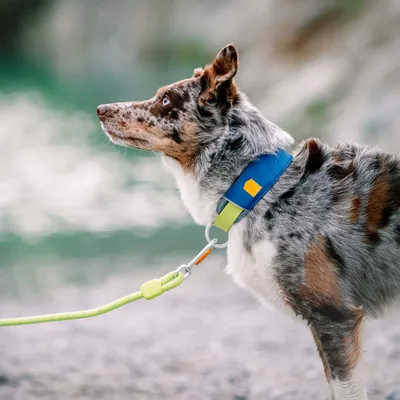 Woolly Wolf Collier Alpha 360 Deep Teal Mix