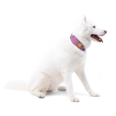 Woolly Wolf Collier Alpha 360 Mauve Mix
