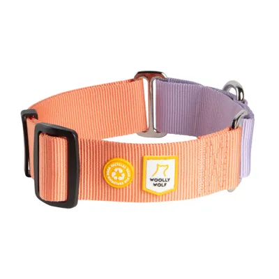 Woolly Wolf Collier Color Block Martingale Salmon Pink Mix Woolly Wolf Collier Color Block Martingale Salmon Pink Mix