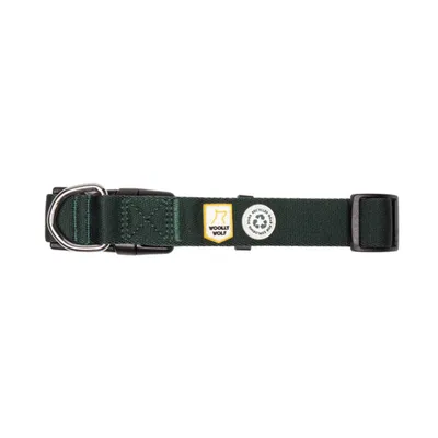 Woolly Wolf Collier Evergreen
