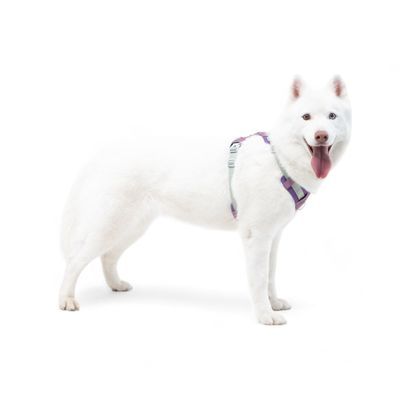 Woolly Wolf Harnais Alpha 360 Mauve Mix