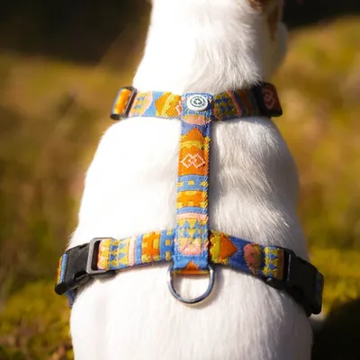 Woolly Wolf Harnais Nightless Night