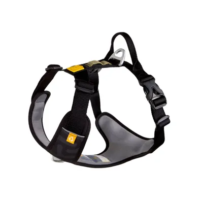 Woolly Wolf Harnais pour chien Roam Black