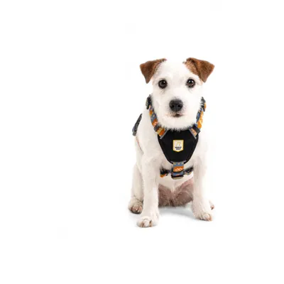 Woolly Wolf Harnais Nightless Night