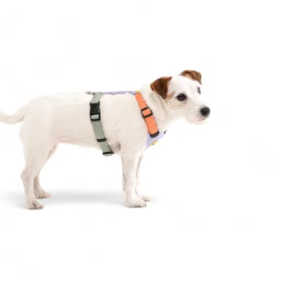 Woolly Wolf Harnais Color Block Salmon Pink Mix