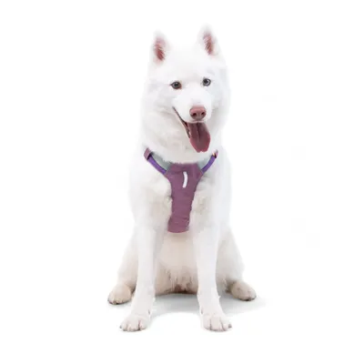 Woolly Wolf Harnais pour chien Alpha 360