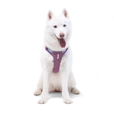 Woolly Wolf Harnais Alpha 360 Mauve Mix