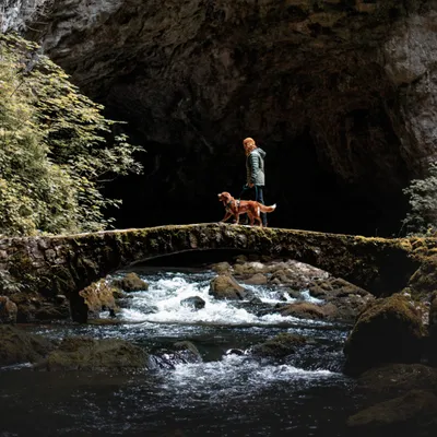 Woolly Wolf Harnais Roam Deep Teal