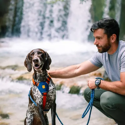 Woolly Wolf Harnais Color Block Lime Mix