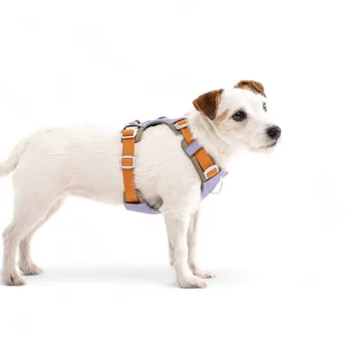 Woolly Wolf Harnais Alpha 360 Lavendermix
