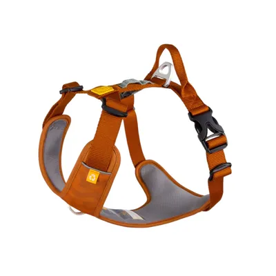 Woolly Wolf Harnais pour chien Roam Terracotta