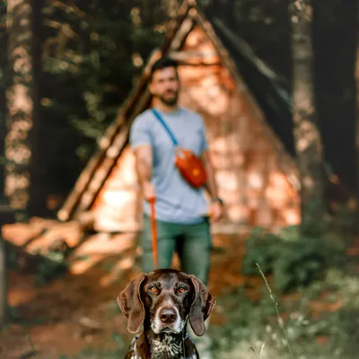 Woolly Wolf Harnais Color Block Lime Mix