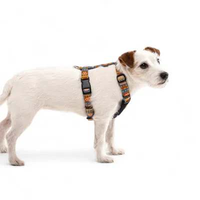 Woolly Wolf Harnais Nightless Night